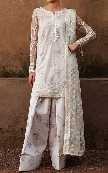 New Collection